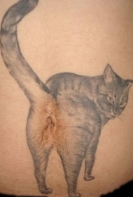 腹部滑稽的猫纹身图案