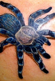蓝色的逼真大蜘蛛纹身图案