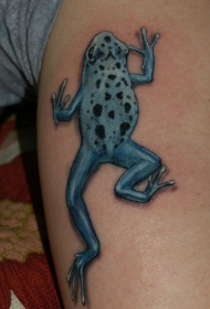 淡蓝色的树蛙纹身图案