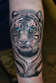 微笑的老虎头像与蓝眼睛手臂纹身图案