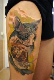 水彩斯芬克斯猫和蜗牛纹身图案