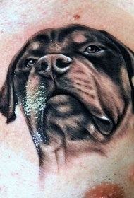 胸部逼真的黑色罗威纳犬纹身图案