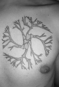 胸部圆形生长树纹身图案