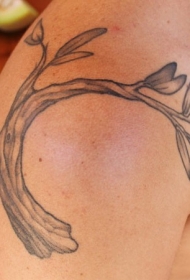 橄榄树枝肩部纹身图案