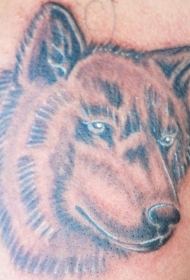 棕色的狼头纹身图案