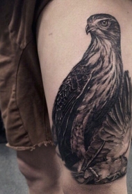 大腿好看的黑色鹰与羽毛纹身图案
