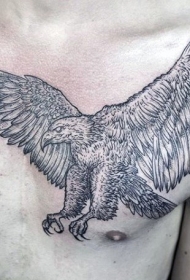 胸部黑色线条精致的飞行鹰纹身图案