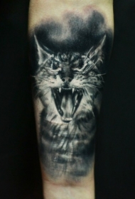 小臂写实风格黑白猫纹身图案
