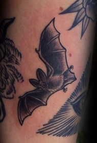 雕刻风格黑色飞行蝙蝠纹身图案