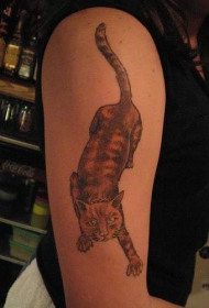 手臂一只野猫纹身图案