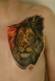 胸部彩色狮子头纹身图案