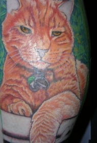 写实的红色猫纪念纹身图案