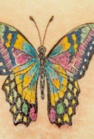 五颜六色的蝴蝶纹身图案