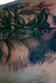 背部令人难以置信的黑白鹿在森林纹身图案