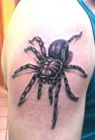 手臂黑色蜘蛛纹身图案