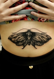 腹部黑色的小蝴蝶纹身图案