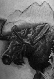 写实黑色的麋鹿在山区纹身图案