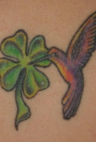 绿色的四叶草和蜂鸟纹身图案