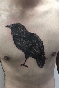 胸部逼真的黑色乌鸦纹身图案