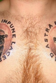 聪明的猫头鹰胸部纹身图案
