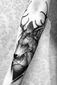 手臂黑色雕刻风格鹿头几何纹身图案