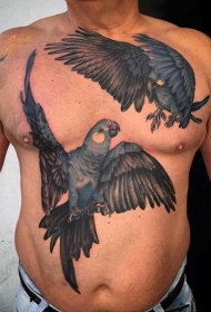 胸部梦幻般的彩色写实鹦鹉纹身图案