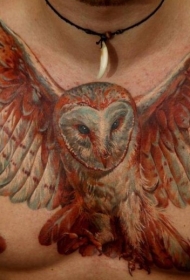 男子胸部可爱的猫头鹰纹身图案