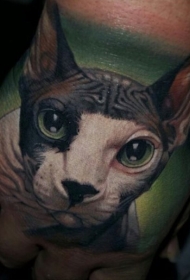 手背彩色可爱的斯芬克斯猫纹身图案