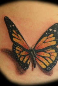 写实的蝴蝶纹身图案