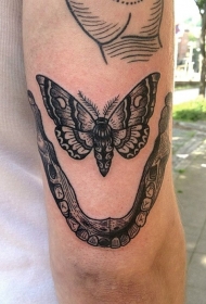 手臂惊人的黑白点刺蝴蝶与人类下巴纹身图案
