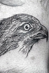 好看的黑色线条小清新鹰头纹身图案