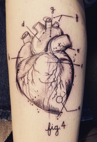 科学风格人类心脏数字和字母纹身图案
