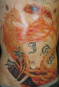 腹部火焰凤凰字符纹身图案