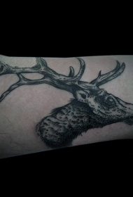 雕刻风格黑白鹿头小臂纹身图案