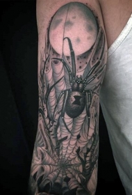 手臂黑色的蜘蛛网个性纹身图案