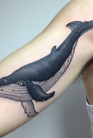 写实蓝色和黑色鲸鱼大臂纹身图案