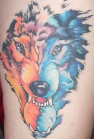 橙色和蓝色的狼头纹身图案