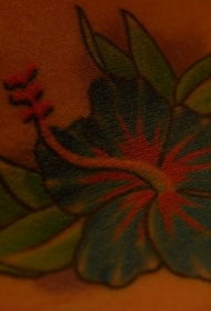 蓝色的木槿花纹身图案