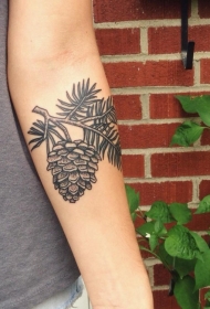 小臂松树枝与松果写实纹身图案