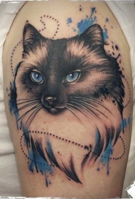 手臂彩色可爱的猫与蓝色眼睛纹身图案