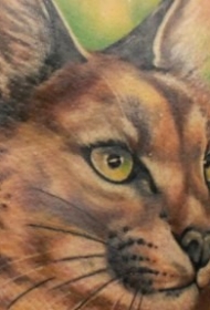 背部简单写实彩色野猫纹身图案