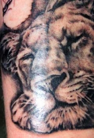 黑灰水墨睡觉的狮子纹身图案