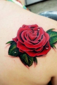 肩部天然的玫瑰与水滴纹身图案