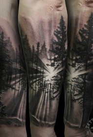 手臂惊人的黑白森林日出纹身图案
