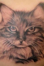 超级逼真的猫头像纹身图案
