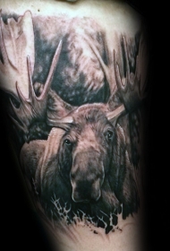 写实逼真的黑白麋鹿在树林里大腿纹身图案
