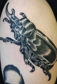 大臂雕刻风格黑色线条昆虫纹身图案