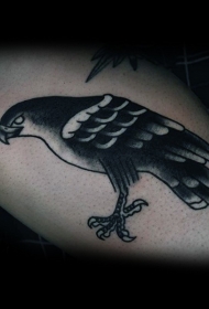 印度土著简单的黑色鹰纹身图案