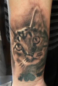 小臂逼真的黑白猫肖像纹身图案
