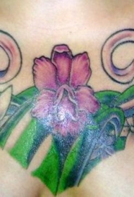 兰花植物彩色胸部纹身图案